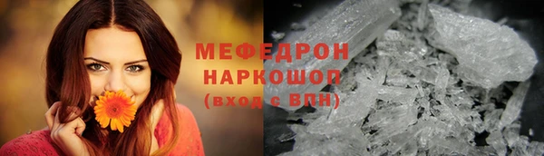 соль ск Няндома