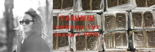 мдпв Новозыбков