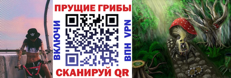 Псилоцибиновые грибы Magic Shrooms  где продают   Котельники 