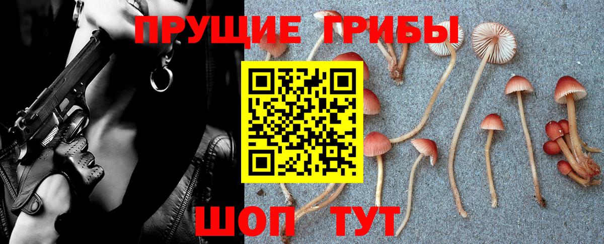 Псилоцибиновые грибы Psilocybine cubensis Котельники