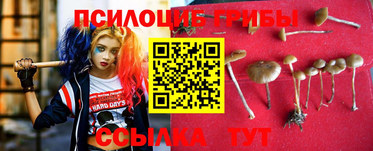 Псилоцибиновые грибы GOLDEN TEACHER  Вход с VPN  Псилоцибиновые грибы прущие грибы  Котельники 