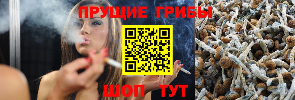 MDMA  ГАШИШ  ЭКСТАЗИ  Гашиш  КОКАИН  Мефедрон   Котельники  МЕФ кристаллы  Канабис 